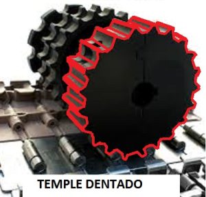 Imagen del templado de cardanes