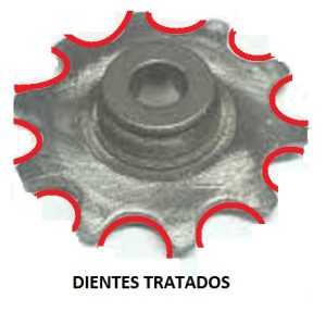 Imagen del tratado de dientes de Piñon Cadena