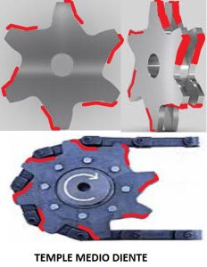 Imagen de Piñón Cadena Redler